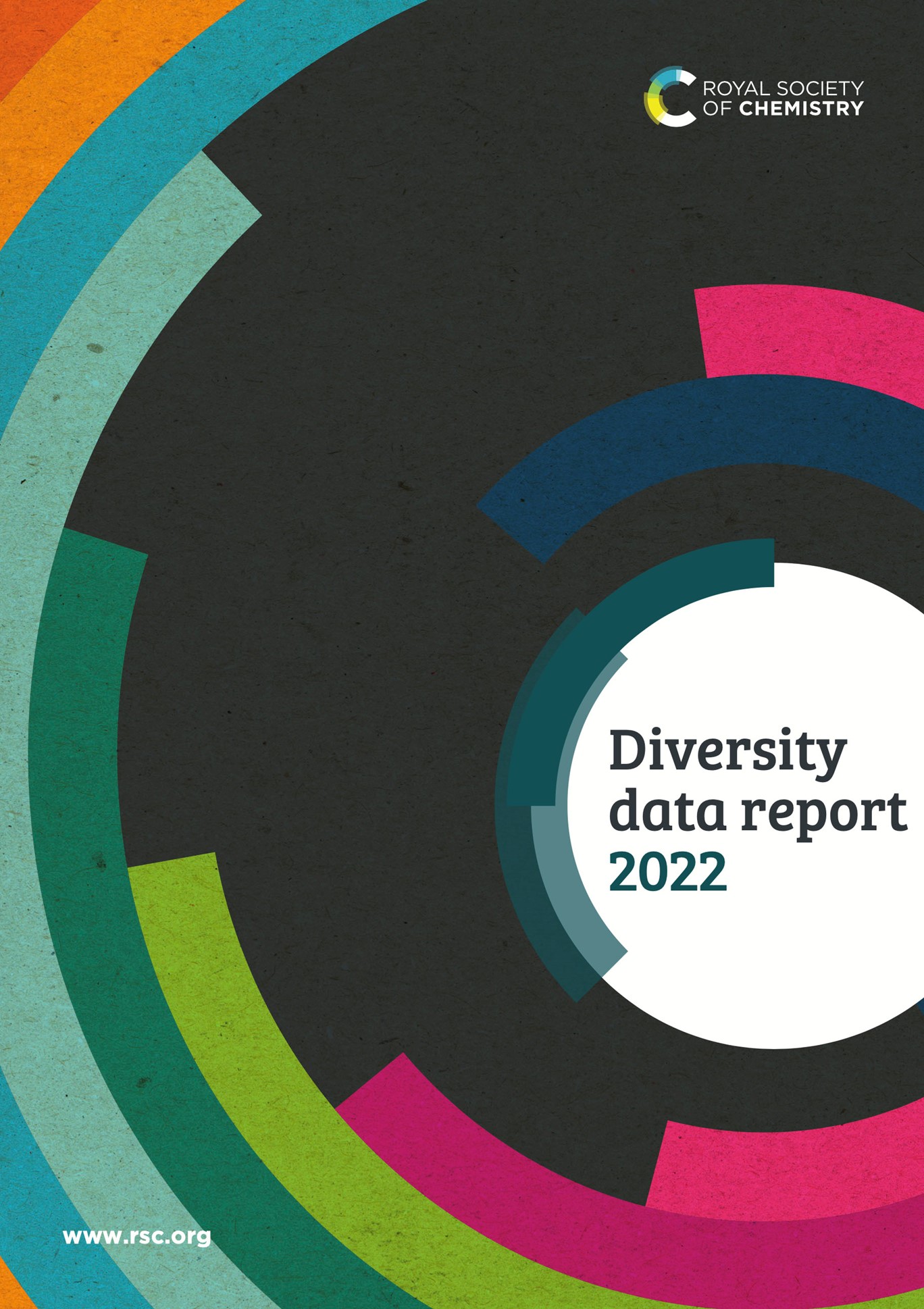 Diversity Data cover 2022.jpg