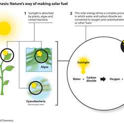 Artificial photosynthesis: pathway to fuels