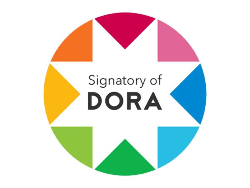 DORA logo - 8 pointed star in rainbow colours