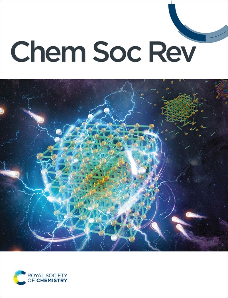 Chem Soc Rev journal front cover