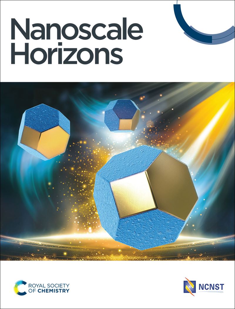 Nanoscale Horizons journal front cover