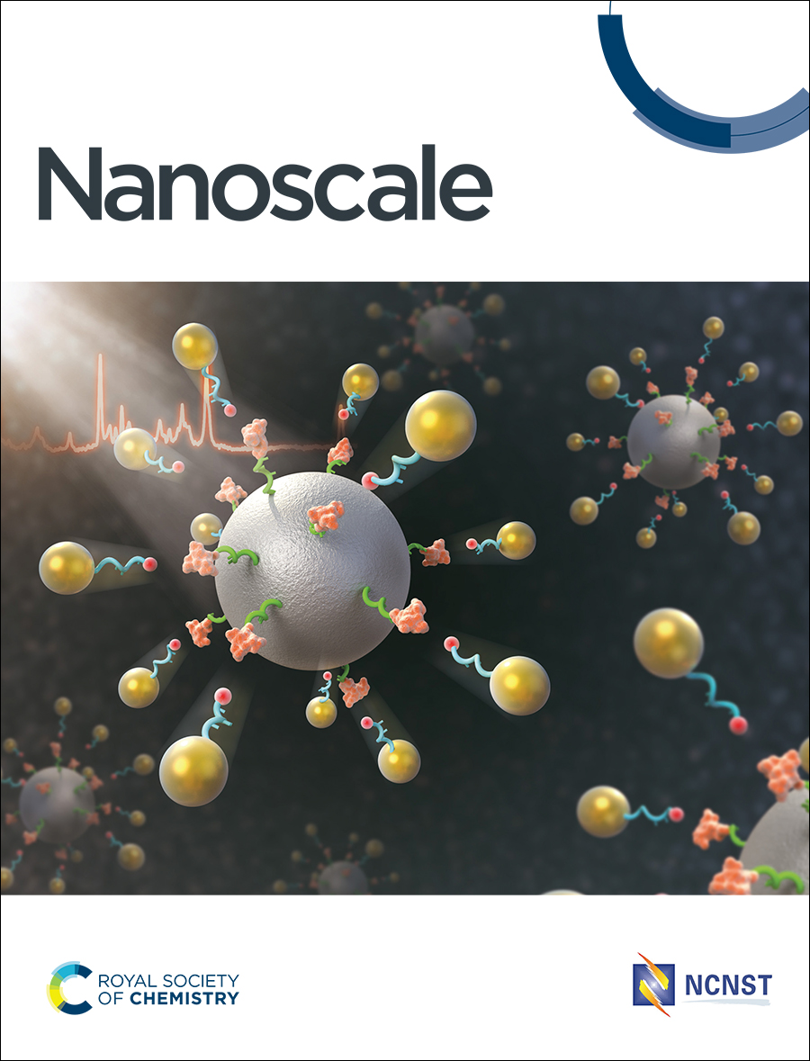 Nanoscale Journal  Cover.jpg