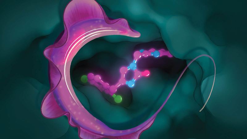pharmaceutical chemistry research papers Top Image