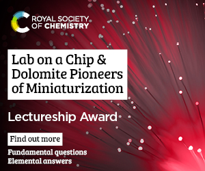 Lab on a chip lectureship advert.jpg