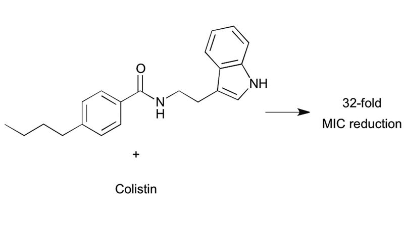 pharmaceutical chemistry research papers image block