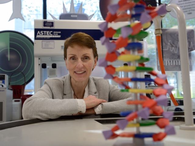 Helen looking at the camera across a table that holds a large model of a double helix.