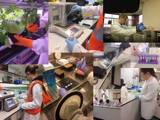 Collage of images depicting apprentices working in laboratory settings.