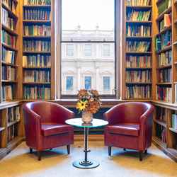 two chairs in library against window and bookshelf backdrop