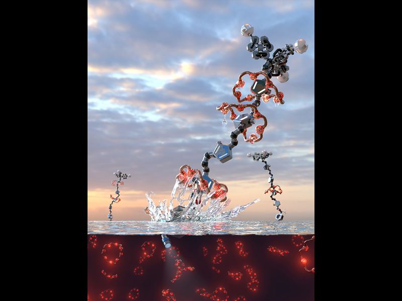 The Molecular Ratcheteers profile image