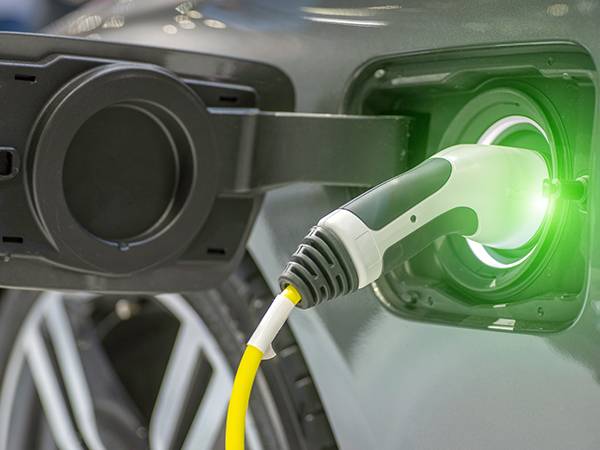 Environment, Sustainability & Energy mid-career Prize