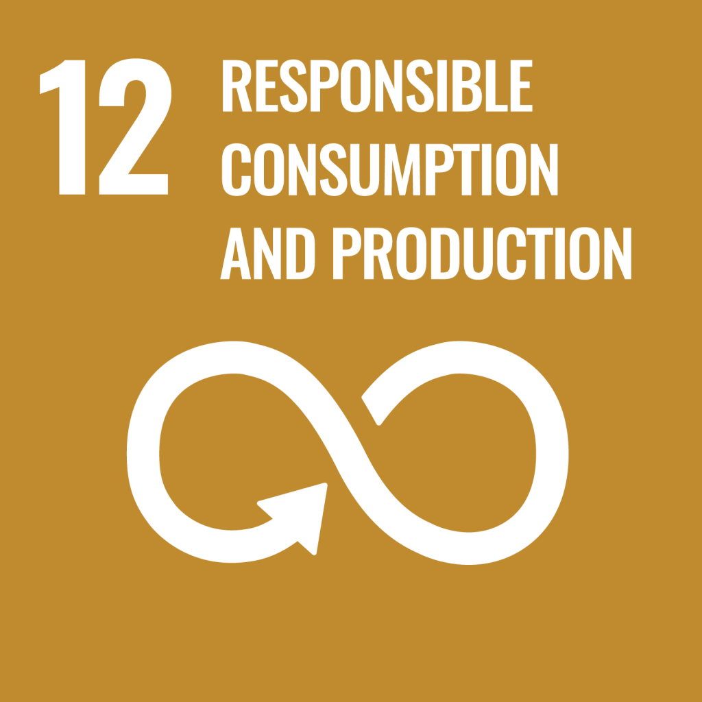 SDG 12 - responsible consumption and production.png