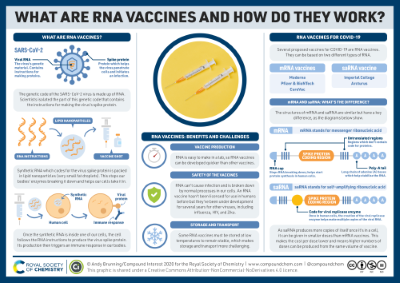 Coronavirus protocols will challenge Brewers' team chemistry