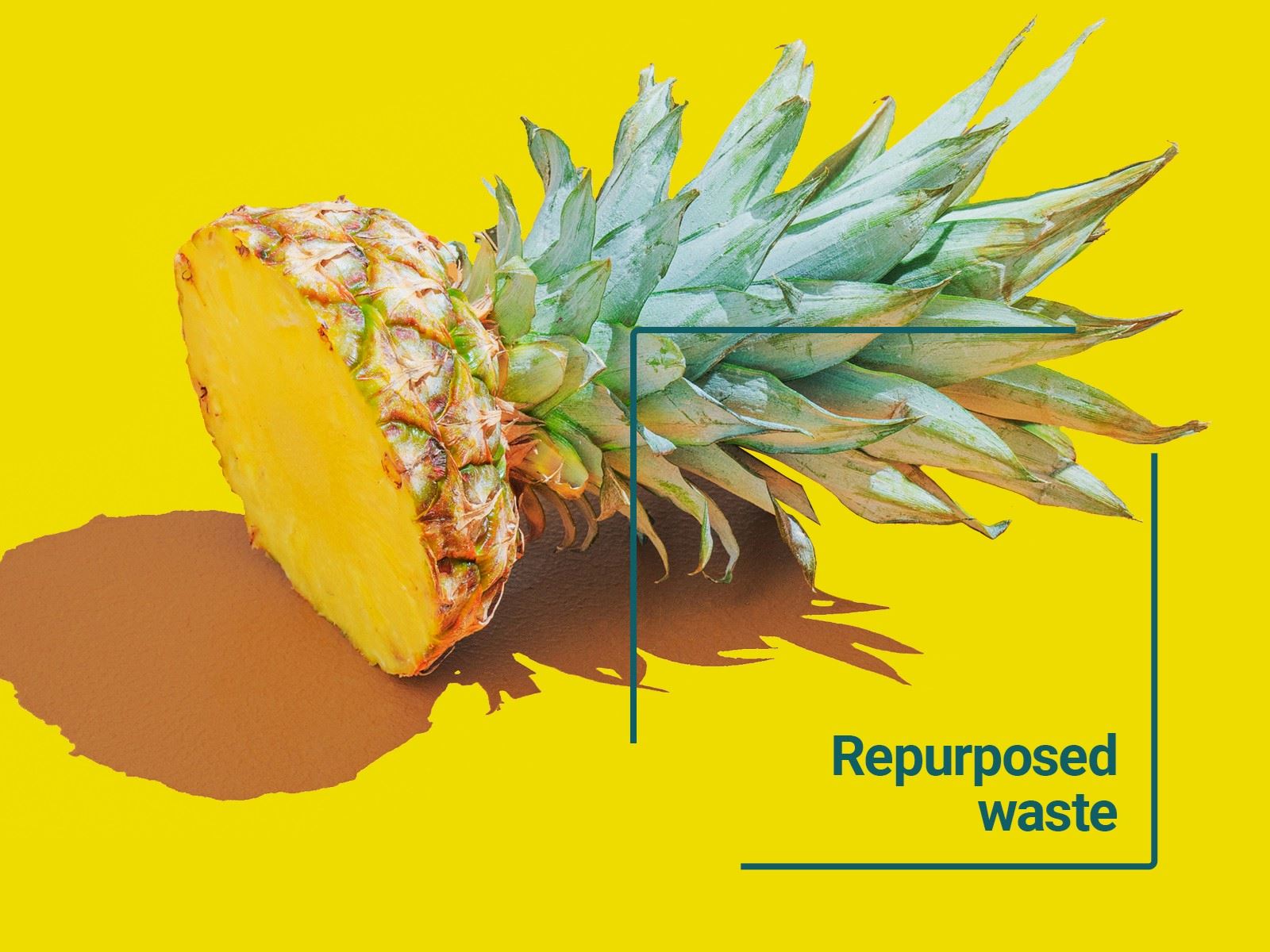 Pineapple alongside text reading repurposed waste